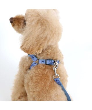 PET PARADISE 犬 ハーネス リード Leeライトデニム ハーネス＆リード 【３Ｓ】 水色
