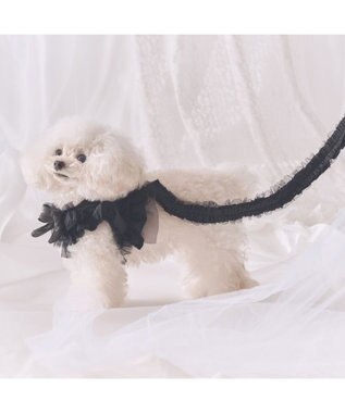 PET PARADISE cherircouture フリフリリード 《ブラック》ＳＳ～Ｓ  小型犬 ブラック