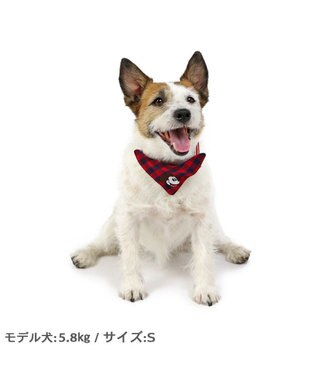 PET PARADISE ディズニー ミッキーマウス プルート  散歩柄首輪【ＳＳ】 小型犬 赤
