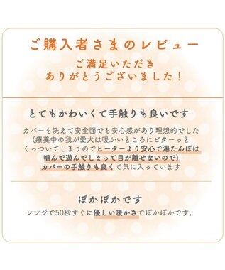 PET PARADISE ペットパラダイス くまちゃん スチームウォーマー ブラウン