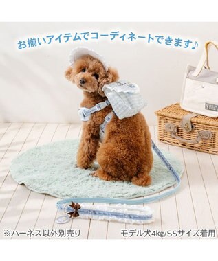 PET PARADISE ディズニー アリス リュックハーネス Ｓ ブルー