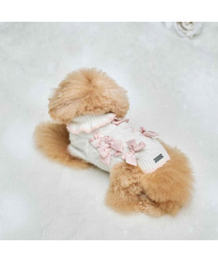 PET PARADISE cherircouture リボン編込ニット 小型犬 ピンク