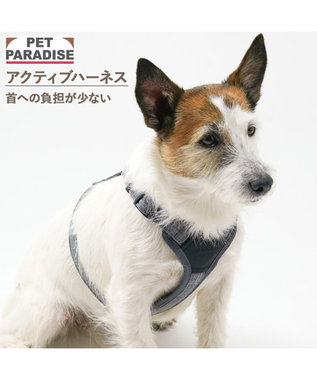  ペットパラダイス アクティブハーネス 杢調 ＳＳ 小型犬
