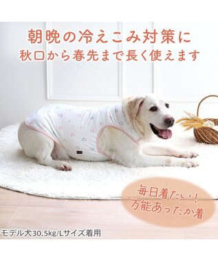 PET PARADISE ペットパラダイス ペティヒート天竺 タンクトップ 《さくらんぼ柄》  中型犬 大型犬 ピンク
