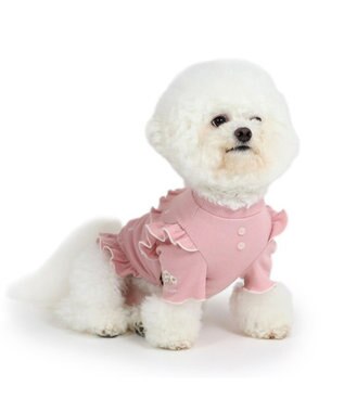 PET PARADISE ペットパラダイス プレミアム ペティヒート  花フリルTシャツ  超小型犬  小型犬 ピンク
