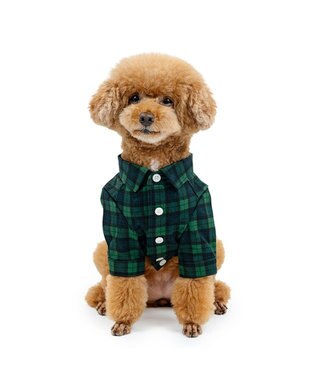 PET PARADISE J.PRESS ブラック格子 シャツ 小型犬 グリーン