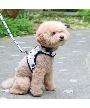 PET PARADISE リサとガスパール 保冷剤ポケット付き ハーネス ３Ｓ 小型犬 保冷剤付き
