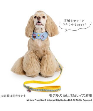 PET PARADISE ミニオン チャーム付き リード ＳＭ 中型犬 ブルー