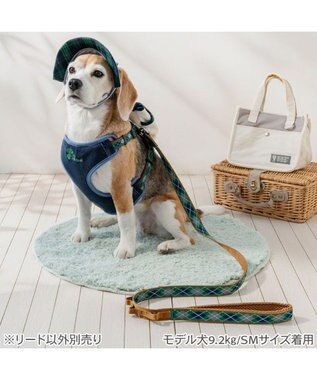 PET PARADISE ペットパラダイス チェック柄 リード Ｍ～Ｌ 大型犬 グリーン