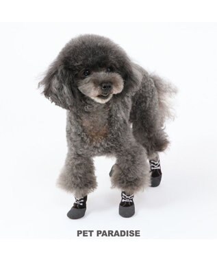 PET PARADISE ペットパラダイス フィットシューズ 【３Ｓ】 グリーン ブラウン ブラウン