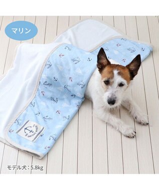 PET PARADISE ペットパラダイス クールケット 《マリン柄》 小型犬 マリン柄