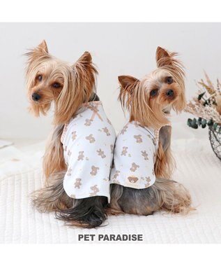  ペットパラダイス はじめてタンクトップ くまちゃん柄 小型犬