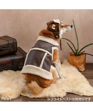 PET PARADISE ペットパラダイス フライトハット 中型犬 ブラウン