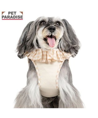 PET PARADISE ペットパラダイス くまちゃん ピエロ襟ベストハーネス ＳＳ