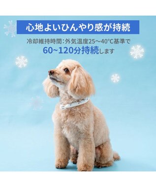 PET PARADISE ペットパラダイス ２８℃ クールリング ３Ｓ 《サメ柄》 ブルー
