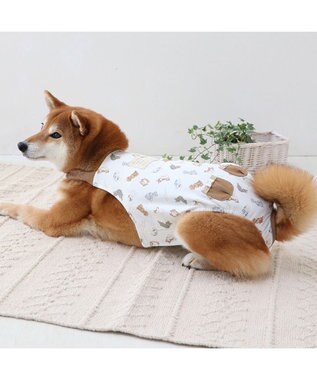 PET PARADISE ペットパラダイス makokoro マナーオール 《わんちゃん柄》 中型犬 わんちゃん柄