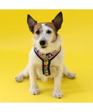 PET PARADISE スヌーピー 75周年 アクティブ ハーネス 小型犬 ３S 75周年柄