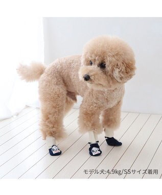 PET PARADISE スヌーピー makokoro スリット 靴下 ３Ｓ 小型犬 紺(ネイビー・インディゴ)