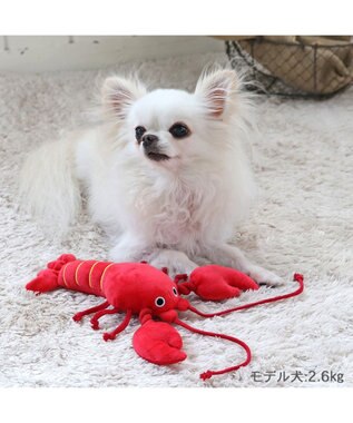 PET PARADISE ペットパラダイス おもちゃトイ 伊勢えび 赤