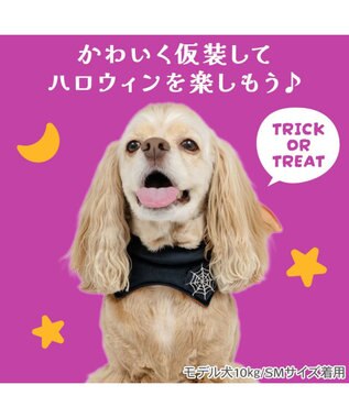 PET PARADISE ペットパラダイス コウモリチョーカー 中型犬 大型犬 ブラック