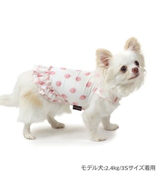 PET PARADISE ペットパラダイス タッチワンクールプラス Tシャツ 《いちご》 小型犬 ホワイト×ピンク