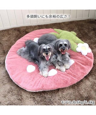 PET PARADISE  ネット店限定 くすみ苺 マット (105×107cm用) ピンク