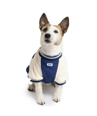 PET PARADISE Lee スタジャン 小型犬 ネイビー