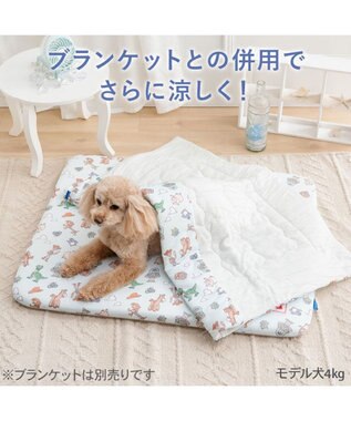 PET PARADISE ディズニー トイ・ストーリー もちっと クール マット Ｍ  《総柄》 ライトブルー