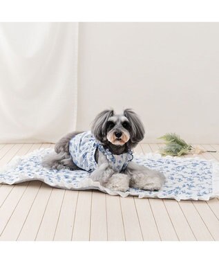 PET PARADISE ペットパラダイス エコメイド 天竺 キャミソール 《トワルドジュイ》小型犬 ホワイト×ブルー