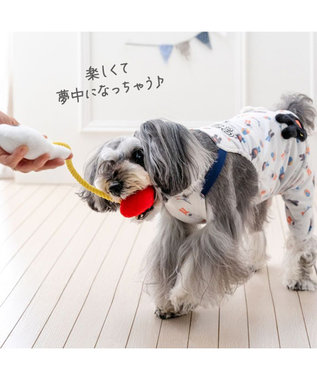 PET PARADISE リサとガスパール ロープトイ 《リサ》 イエロー