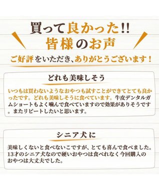 PET PARADISE ペットパラダイス 犬 おやつ デリスタイル8種類 ヘルシー系セット -