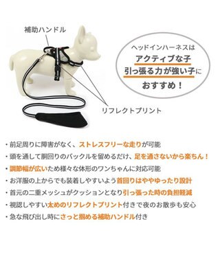 PET PARADISE ヘッドインハーネス 【ＳＳ】 オレンジ / ブルー 【小型犬】 オレンジ×グレー