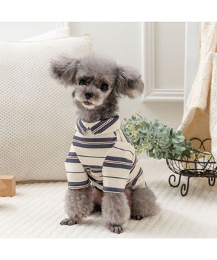 PET PARADISE ペットパラダイス ペティヒート Tシャツ 《マルチボーダー 》小型犬 ベージュ×グレー