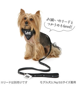 PET PARADISE Lee クッション バンダナ 首輪 ＳＳ ブラック