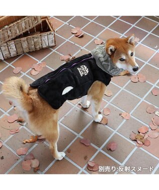 PET PARADISE ペットパラダイス 背開き ベスト 刺繍 中型犬 大型犬 黒