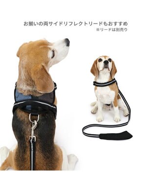 PET PARADISE ヘッドインハーネス  【ＳＭ】 オレンジ / ブルー 【中型犬】 ブルー×ブラウン