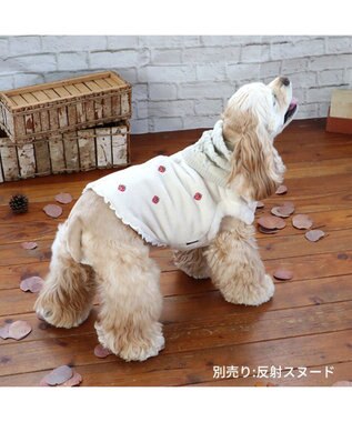 PET PARADISE ペットパラダイス 背中開き ベスト 苺 刺繍 中型犬 大型犬 白~オフホワイト