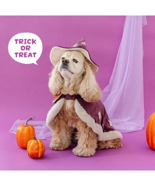 PET PARADISE ペットパラダイス 魔法つかいマント 中型犬 大型犬 パープル