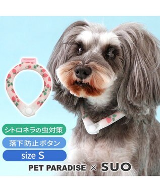  ペットパラダイス 28℃クールリング SUO 《いちご柄》 〔Ｓ〕 小型犬