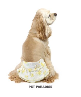  ペットパラダイス サニタリーパンツ 《ミモザ柄》 中型犬 大型犬