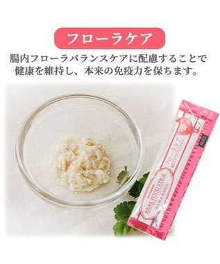 PET PARADISE リアルフードスティック フローラケア 10g×8本 国産 -