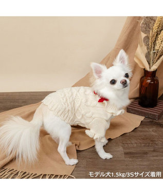PET PARADISE ペットパラダイス フリルアランセーター 小型犬 ホワイト