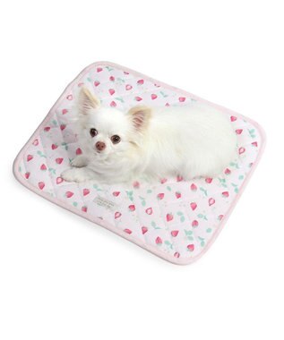 PET PARADISE ペットパラダイス クールマット 《いちご＆お花柄》 48×40㎝ いちご＆お花柄