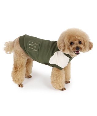 PET PARADISE ペットパラダイス プレミアムペティヒート  切替えタンクトップ 超小型犬 小型犬 緑