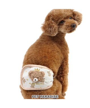  ペットパラダイス 王冠くまちゃん マナーベルト  小型犬