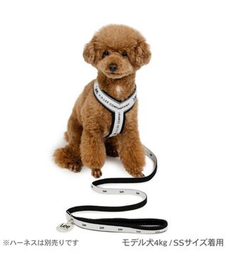 PET PARADISE Lee ロゴチャーム付き リード ４Ｓ～３Ｓ 小型犬 ホワイト×ブラック