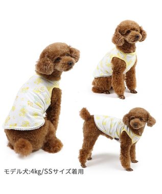 PET PARADISE ペットパラダイス はじめてタンクトップ 《ミモザ柄》 小型犬 ミモザ柄