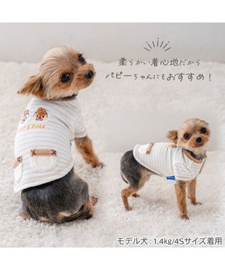 PET PARADISE ディズニー チップとデール サーモキープ お顔Tシャツ 小型犬 ホワイト×ブラウン