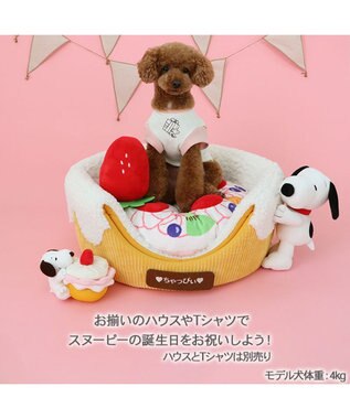 PET PARADISE スヌーピー ケーキノーズワーク トイ -
