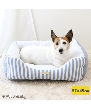 PET PARADISE ペットパラダイス　ストライプカドラー《 ブルー》 小型犬 ストライプ ブルー